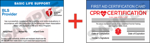Sample American Heart Association AHA BLS CPR Card Certification and First Aid Certification Card from CPR Certification Lombard