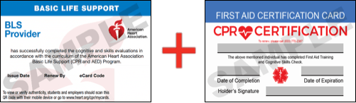 Sample American Heart Association AHA BLS CPR Card Certification and First Aid Certification Card from CPR Certification Morton Grove