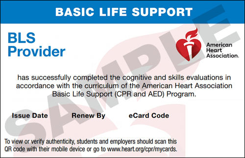 Sample American Heart Association AHA BLS CPR Card Certification from CPR Certification Arlington Heights